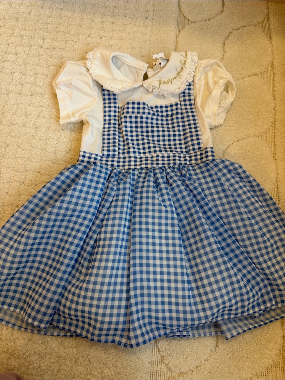 Taylor Joelle Dorothy Dress